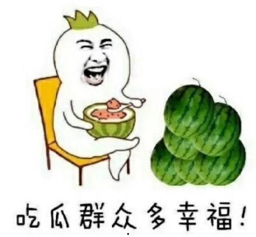 娱乐吃瓜免费观看
